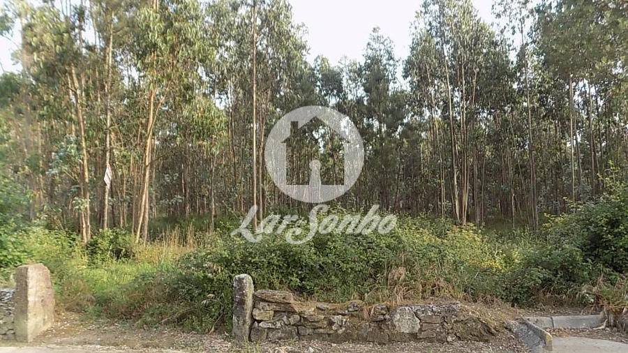 Terreno Agricola ou Rústico para Venda em Balazar