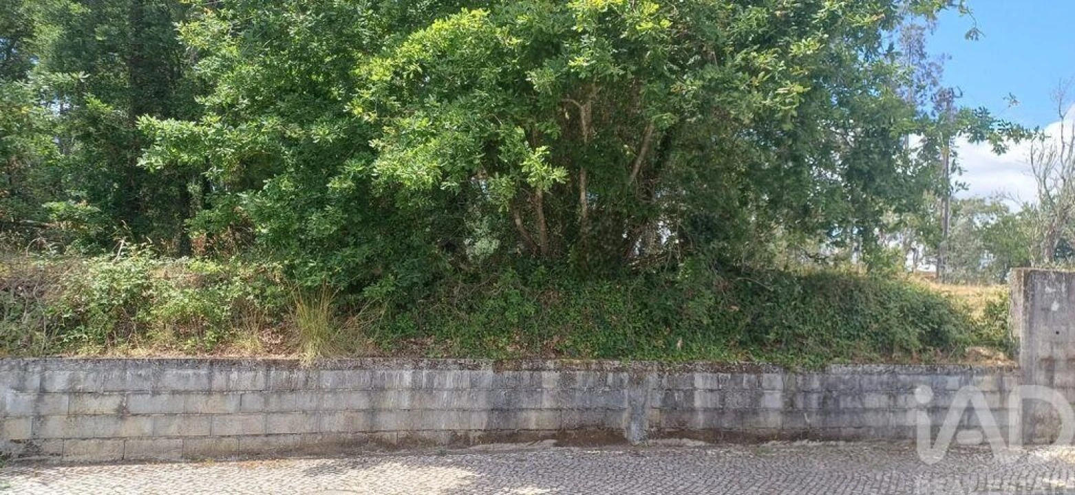 Terreno para Venda em Currelos, Papízios e Sobral Foto 9