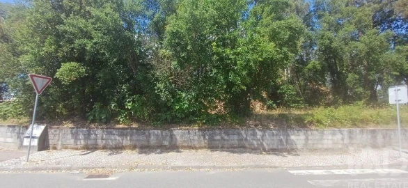 Terreno para Venda em Currelos, Papízios e Sobral