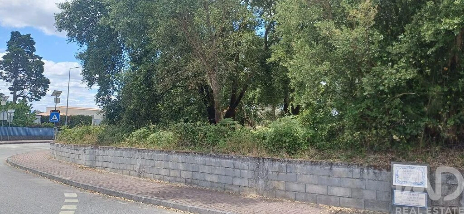 Terreno para Venda em Currelos, Papízios e Sobral Foto 5