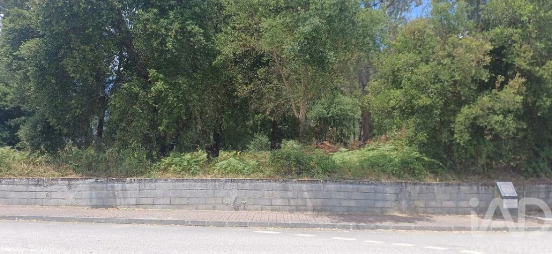 Terreno para Venda em Currelos, Papízios e Sobral Foto 6