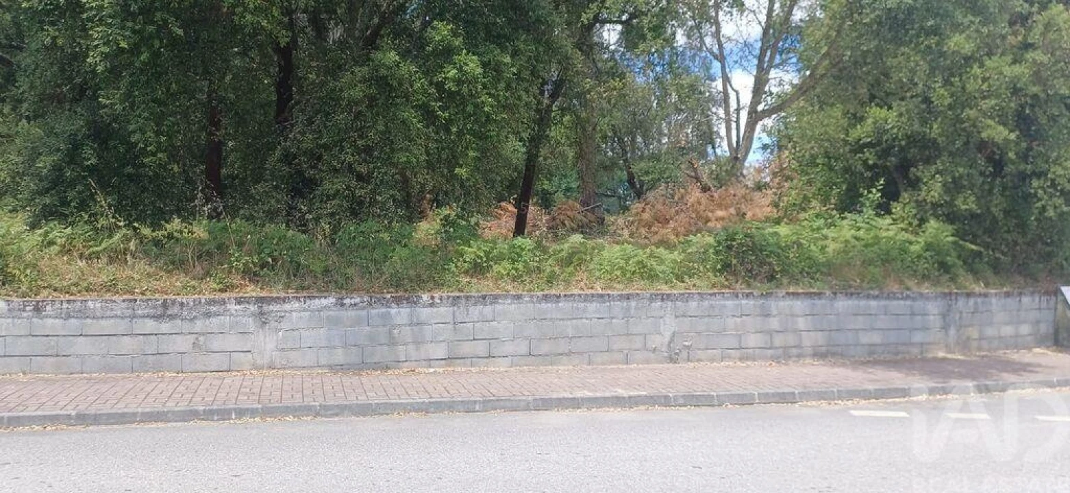 Terreno para Venda em Currelos, Papízios e Sobral Foto 4