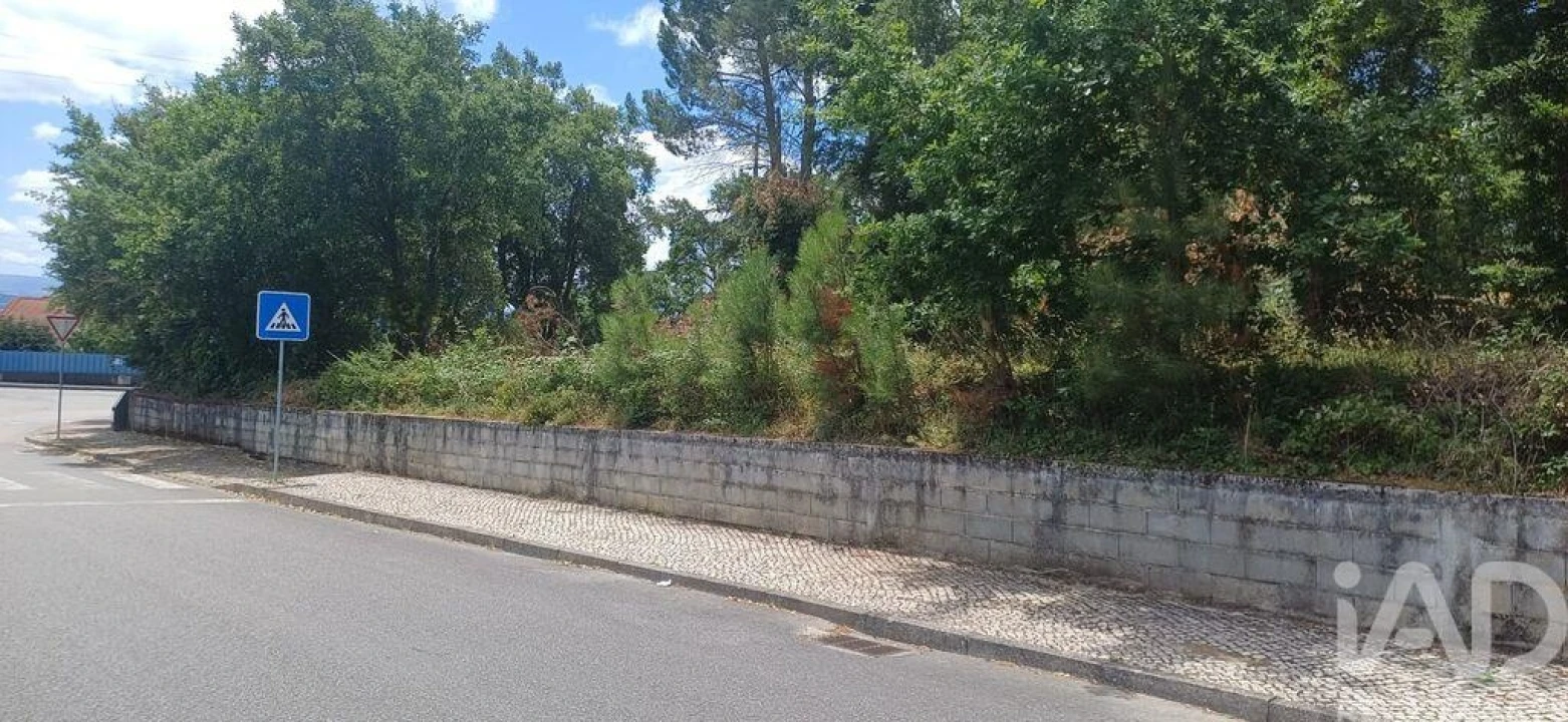 Terreno para Venda em Currelos, Papízios e Sobral Foto 11