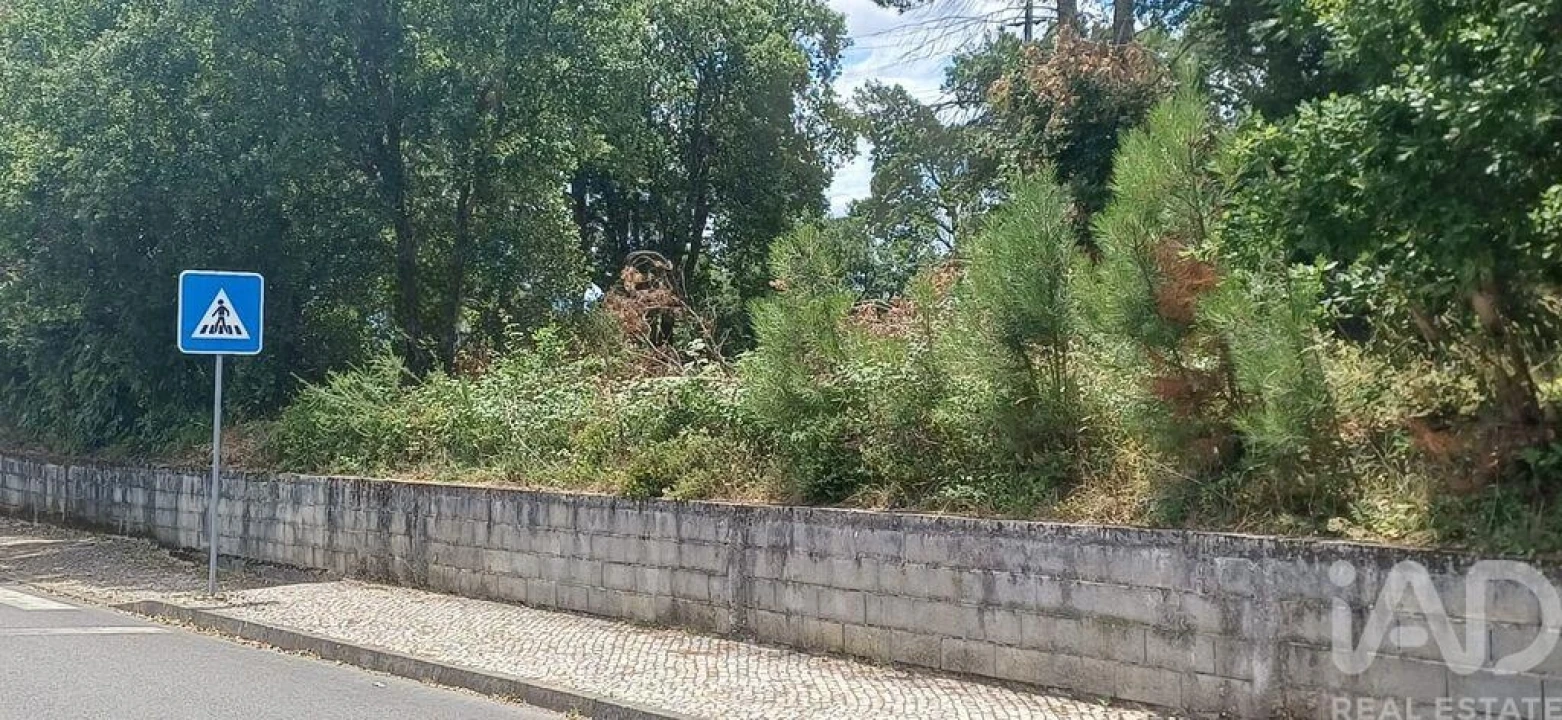 Terreno para Venda em Currelos, Papízios e Sobral Foto 12