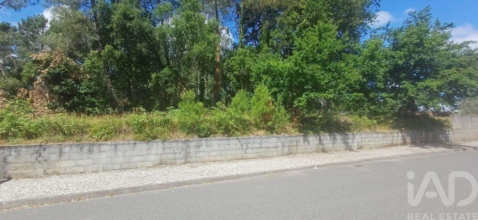 Terreno para Venda em Currelos, Papízios e Sobral Foto 16