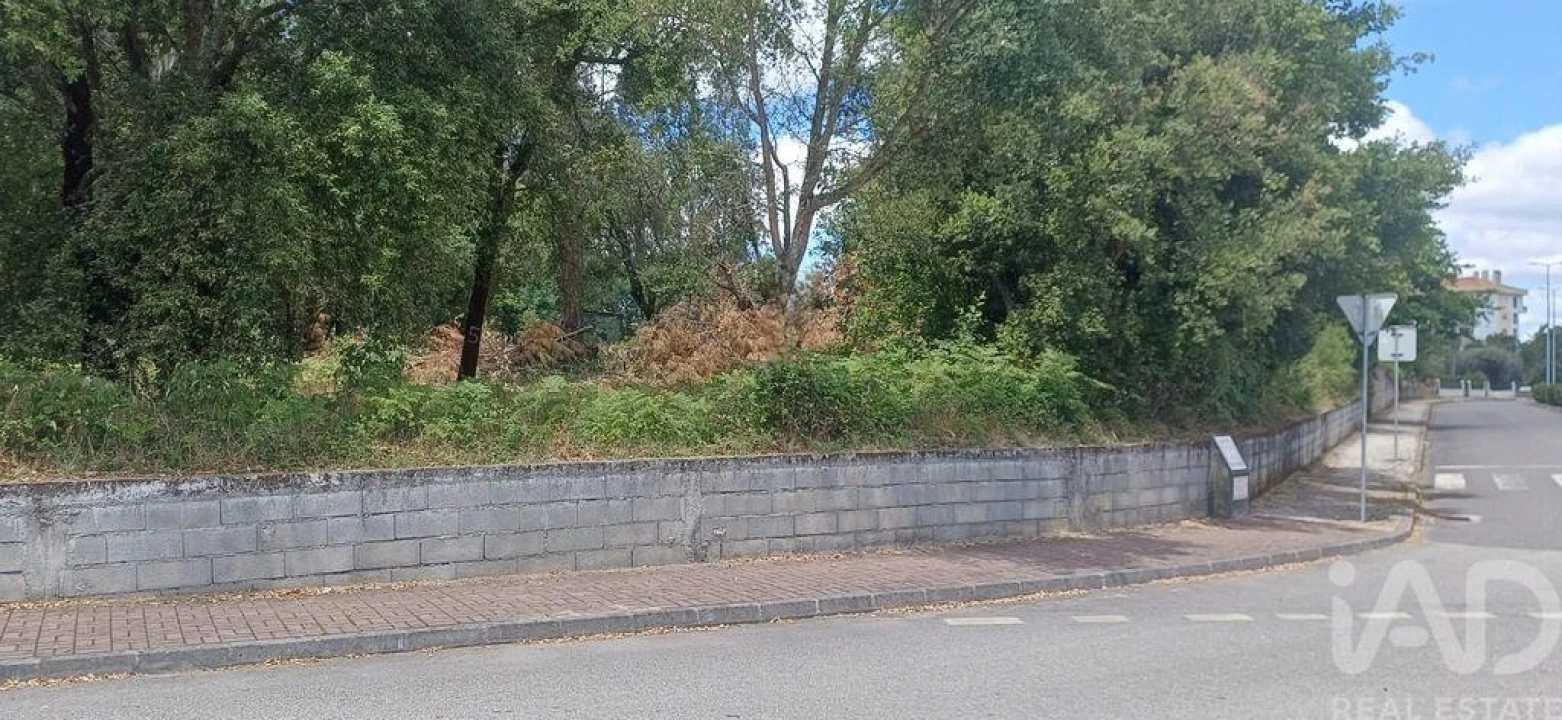 Terreno para Venda em Currelos, Papízios e Sobral Foto 2