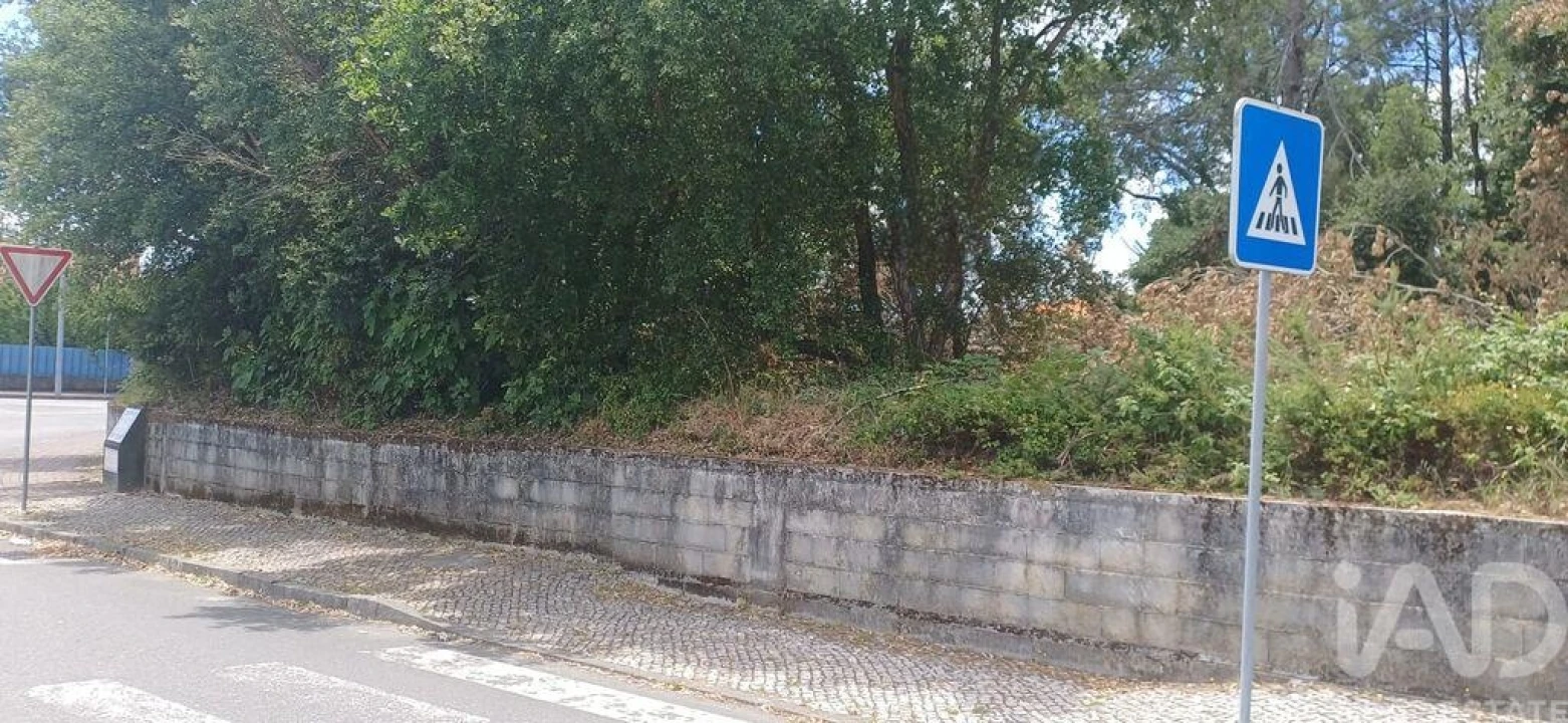 Terreno para Venda em Currelos, Papízios e Sobral Foto 9