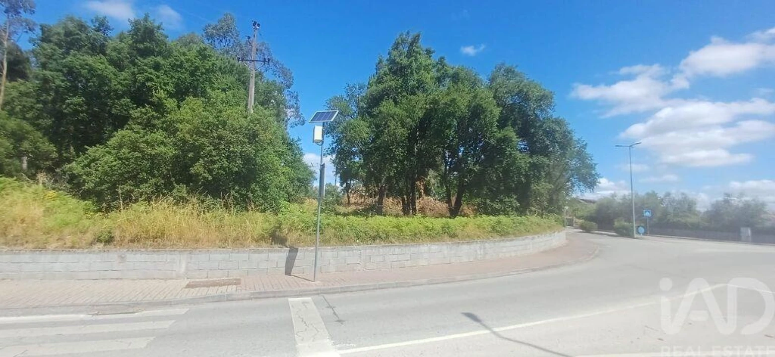 Terreno para Venda em Currelos, Papízios e Sobral Foto 17