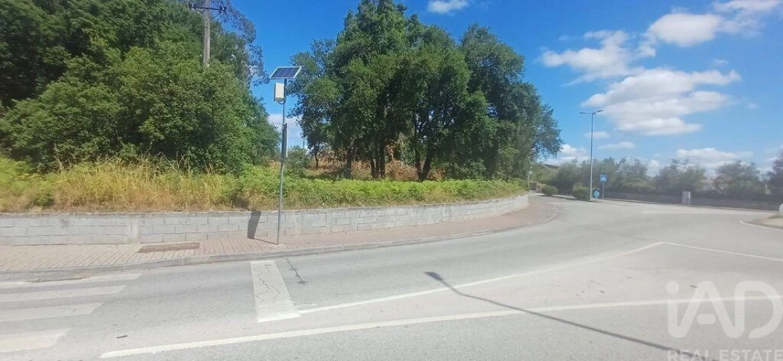 Terreno para Venda em Currelos, Papízios e Sobral Foto 7