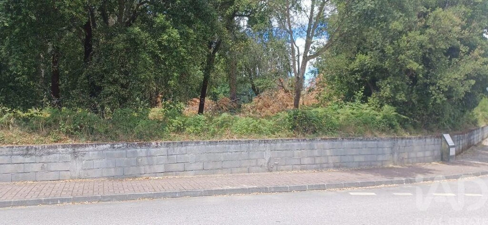 Terreno para Venda em Currelos, Papízios e Sobral Foto 3
