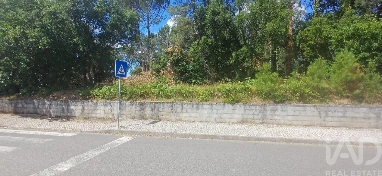 Terreno para Venda em Currelos, Papízios e Sobral Foto 15