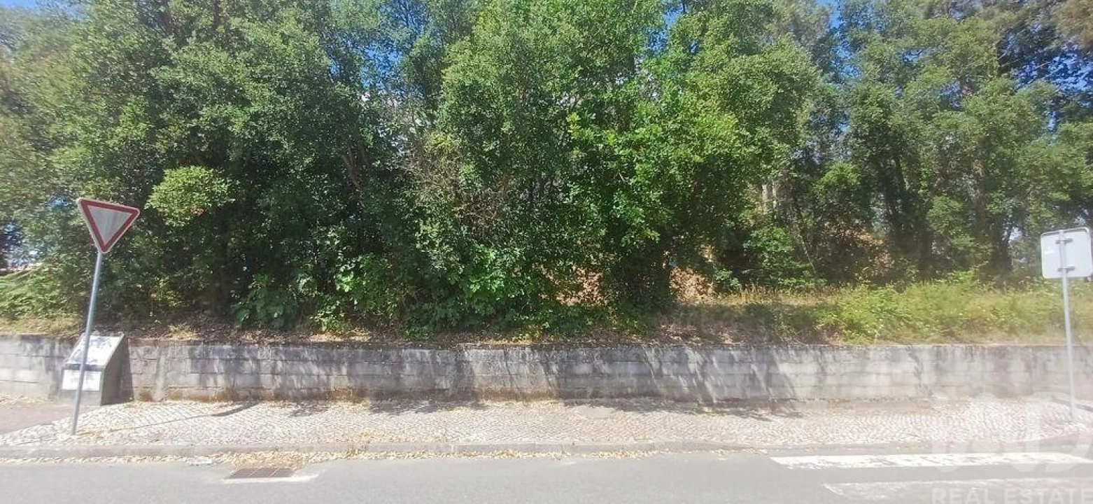 Terreno para Venda em Currelos, Papízios e Sobral Foto 16