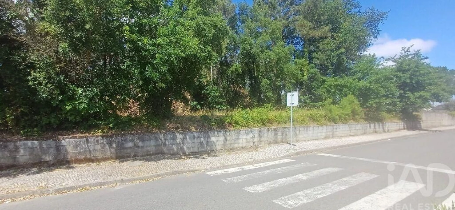 Terreno para Venda em Currelos, Papízios e Sobral Foto 17