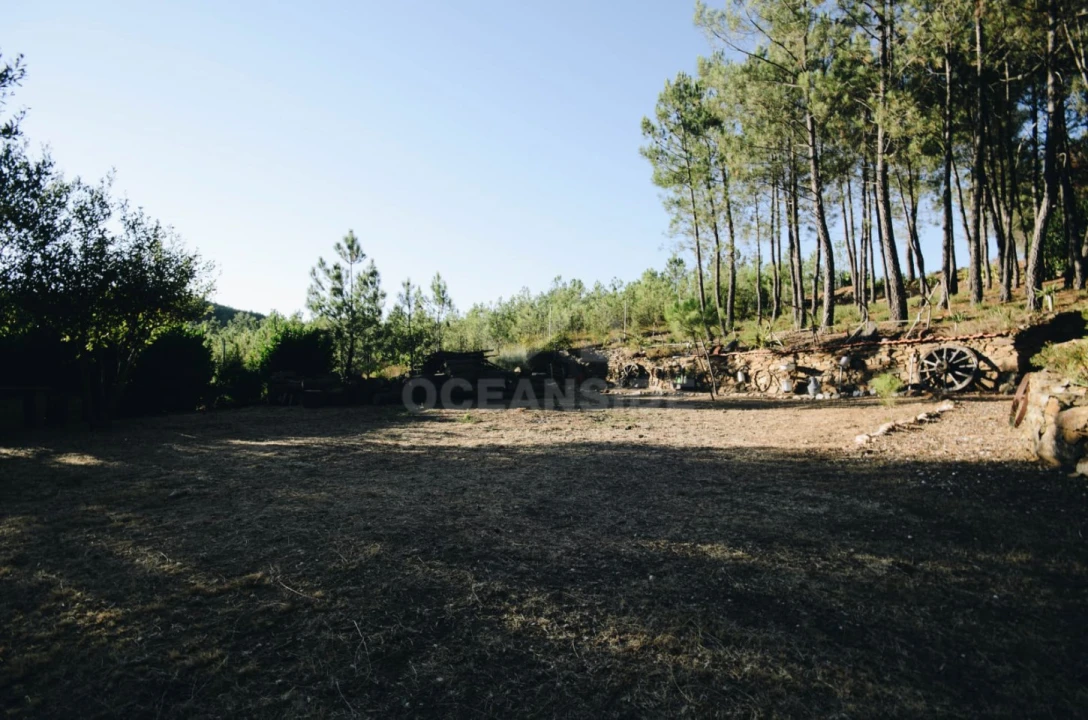 Quinta T6 para Venda em Aldeia de São Francisco de Assis Foto 6