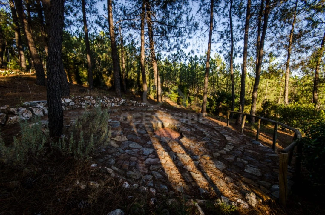 Quinta T6 para Venda em Aldeia de São Francisco de Assis Foto 9