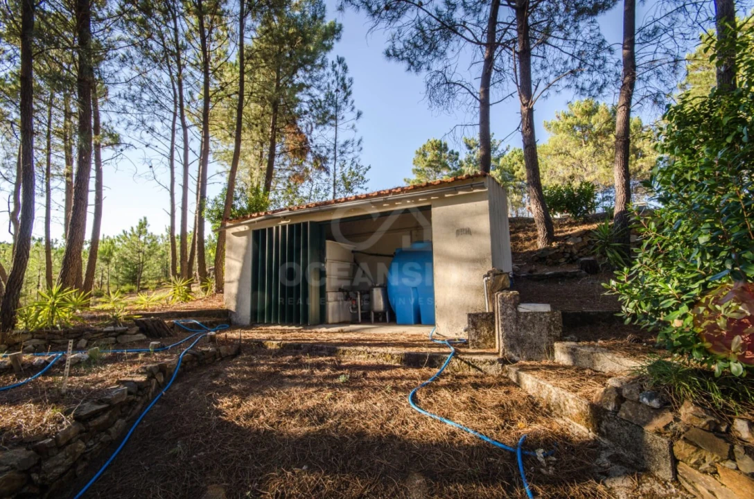 Quinta T6 para Venda em Aldeia de São Francisco de Assis Foto 12