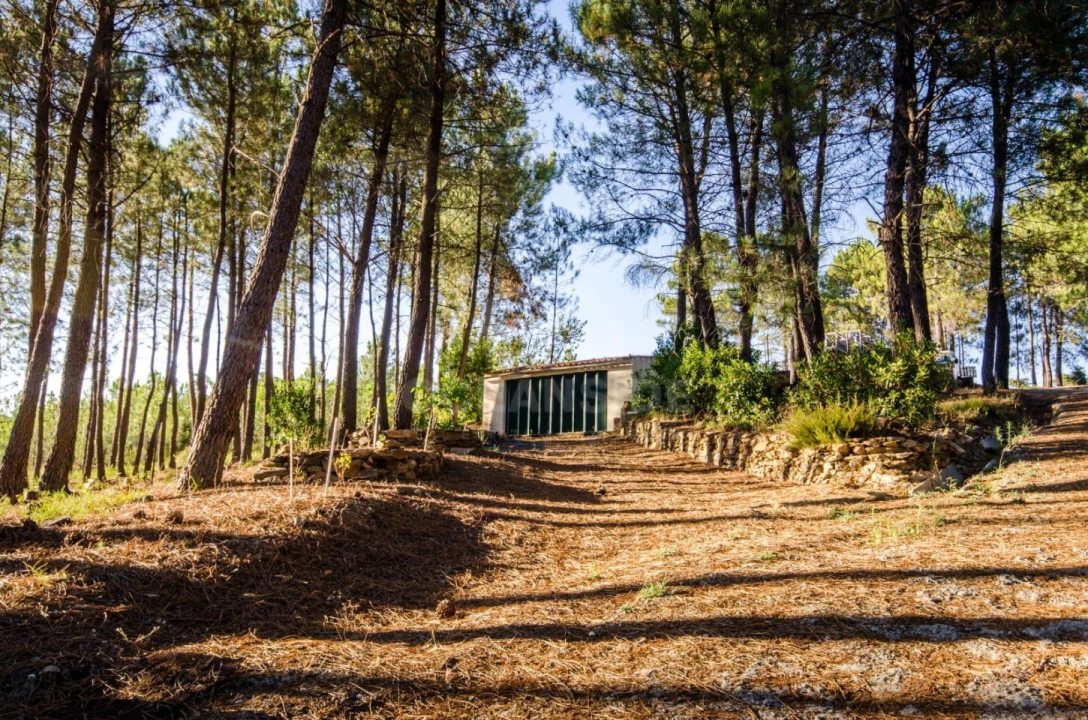 Quinta T6 para Venda em Aldeia de São Francisco de Assis Foto 13