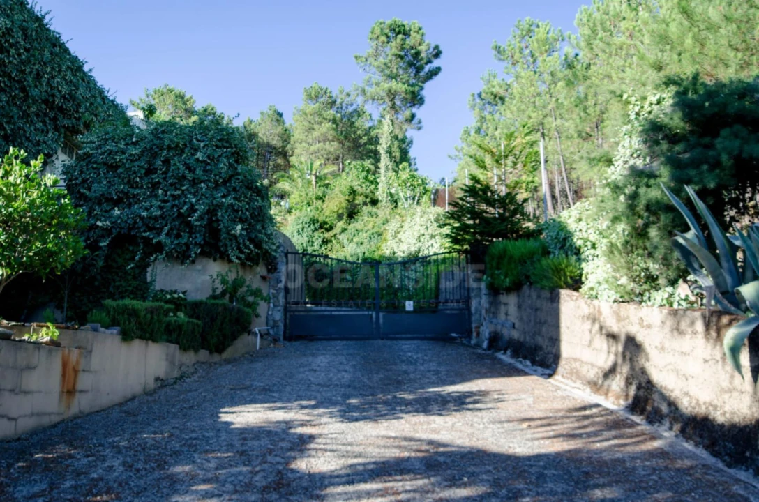 Quinta T6 para Venda em Aldeia de São Francisco de Assis Foto 36