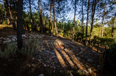 Quinta T6 para Venda em Aldeia de São Francisco de Assis