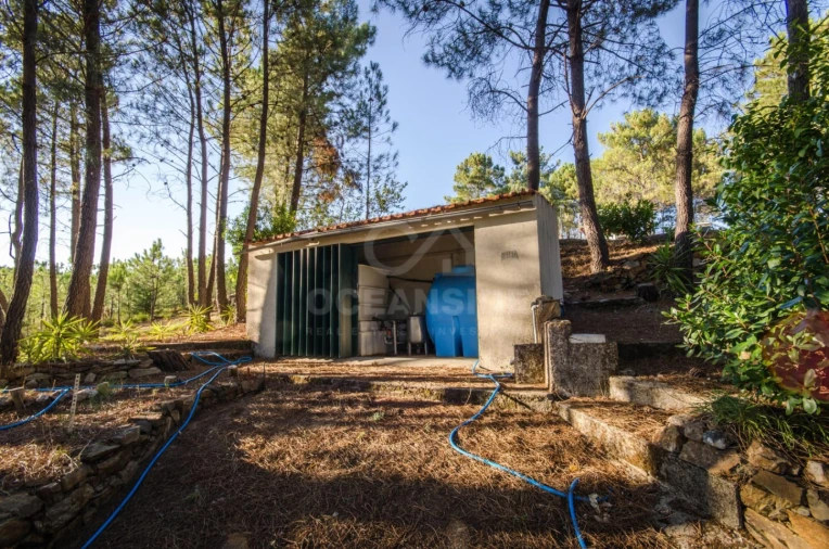 Quinta T6 para Venda em Aldeia de São Francisco de Assis Foto 12