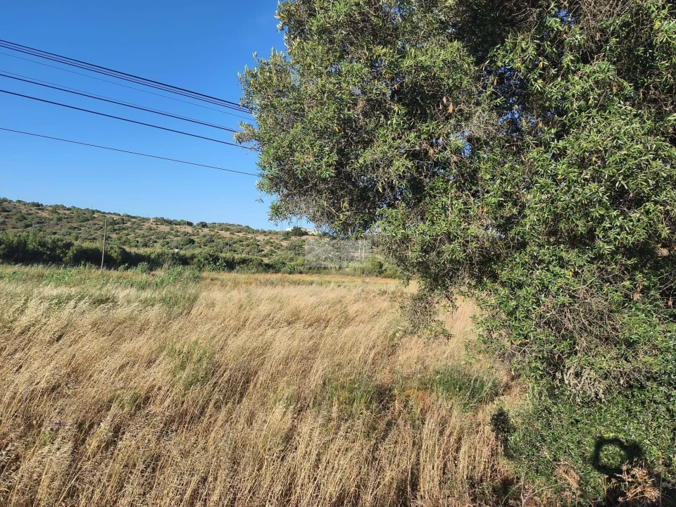 Terreno para Venda em Lagos (São Sebastião e Santa Maria) Foto 2