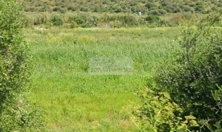 Terreno para Venda em Lagos (São Sebastião e Santa Maria)