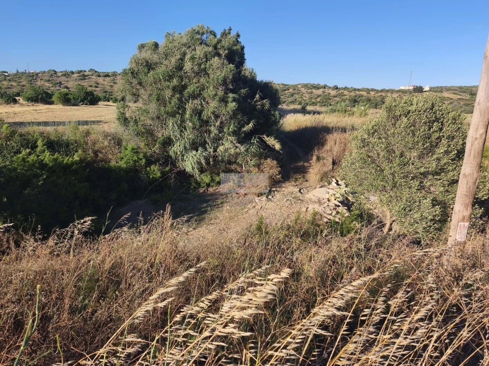 Terreno para Venda em Lagos (São Sebastião e Santa Maria) Foto 12