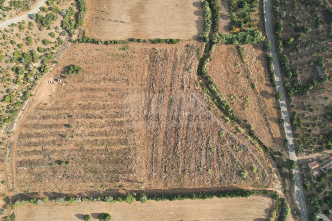 Terreno para Venda em Lagos (São Sebastião e Santa Maria) Foto 4