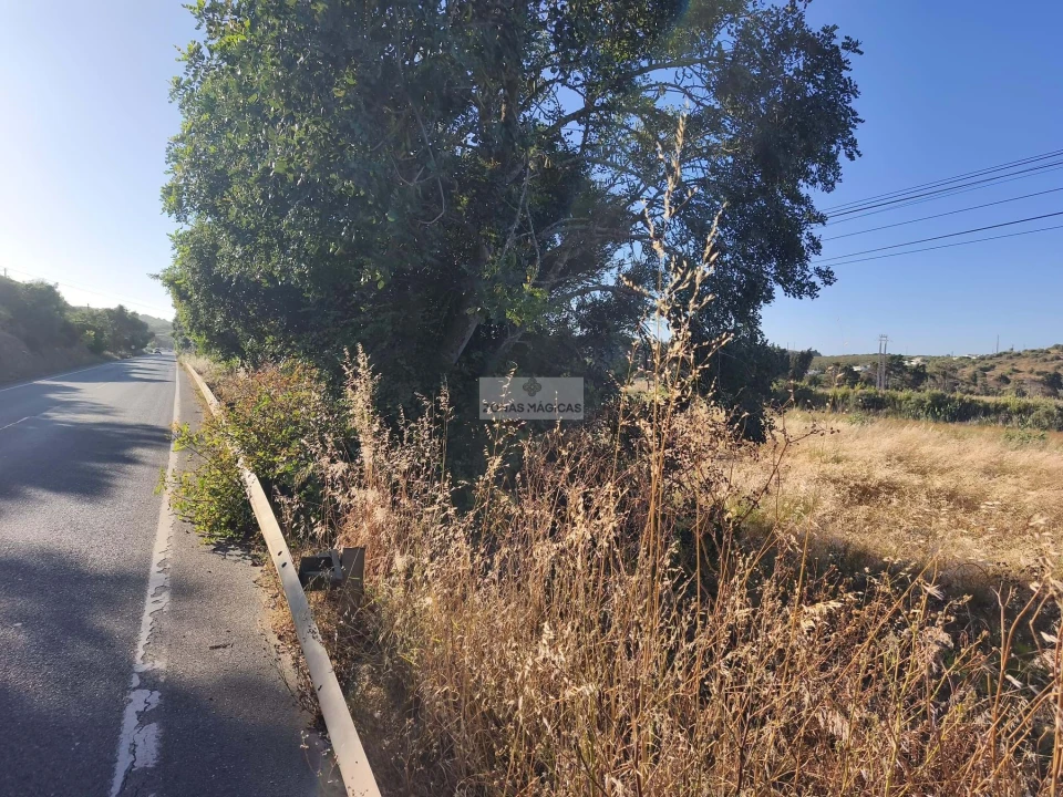 Terreno para Venda em Lagos (São Sebastião e Santa Maria) Foto 10