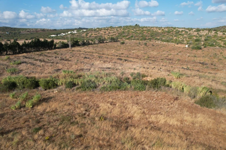 Terreno para Venda em Lagos (São Sebastião e Santa Maria) Foto 22
