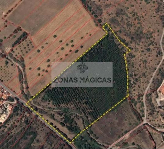 Terreno para Venda em Lagos (São Sebastião e Santa Maria) Foto 9