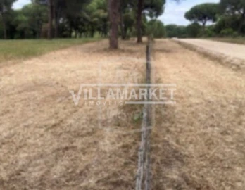 Terreno para Venda em Santo Estêvão