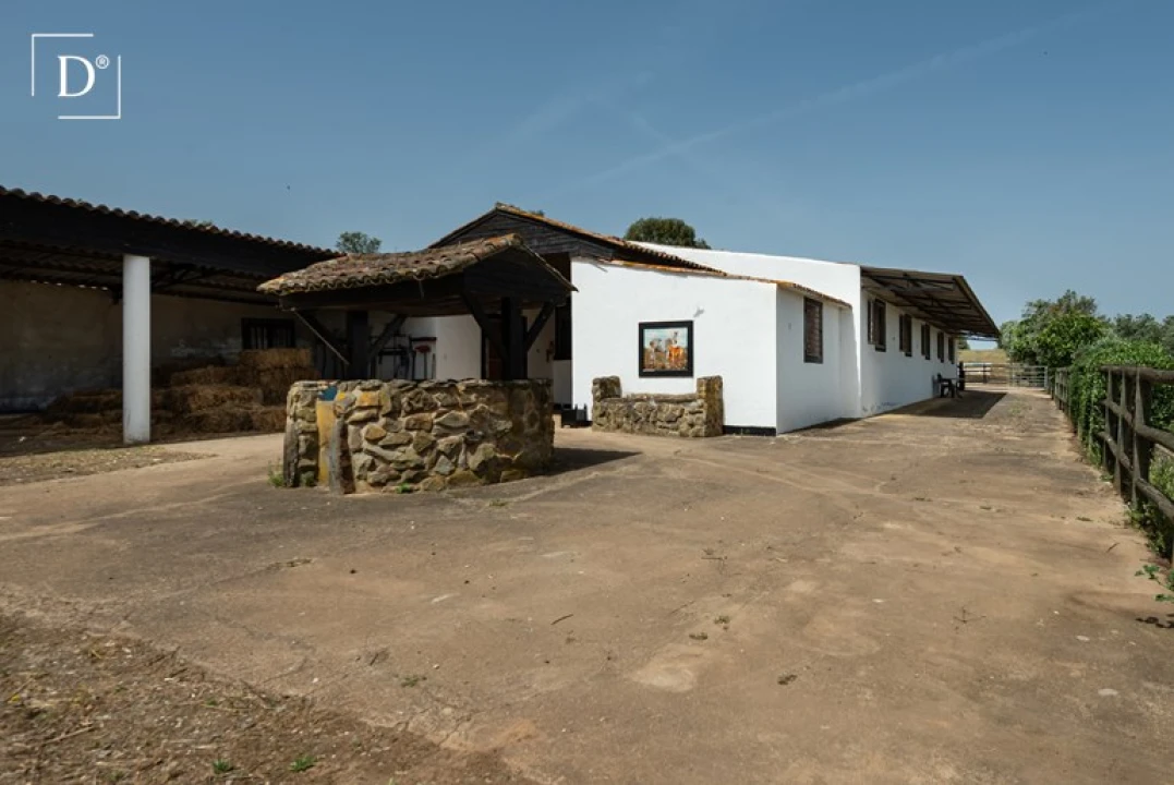 Moradia T3 para Venda em Ourique Foto 31