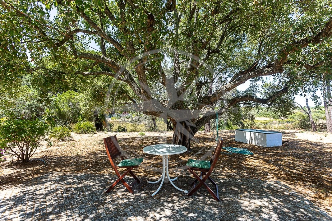 Moradia T3 para Venda em Conceição e Cabanas de Tavira Foto 26