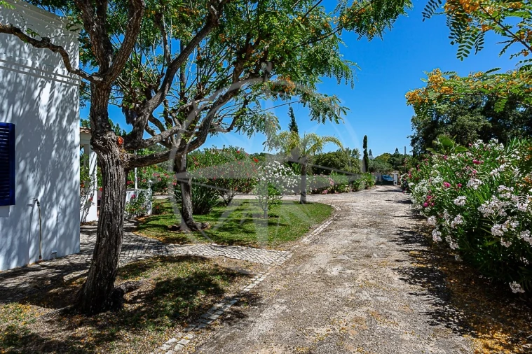 Moradia T3 para Venda em Conceição e Cabanas de Tavira Foto 25