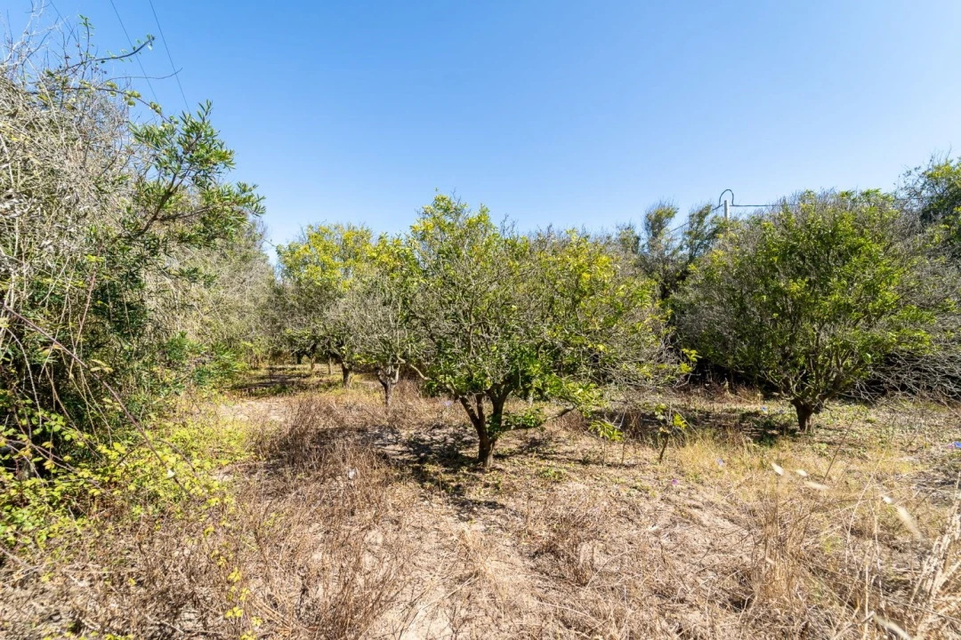 Quinta T2 para Venda em Aljezur Foto 10