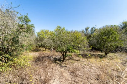 Quinta T2 para Venda em Aljezur