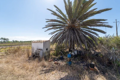 Quinta T2 para Venda em Aljezur