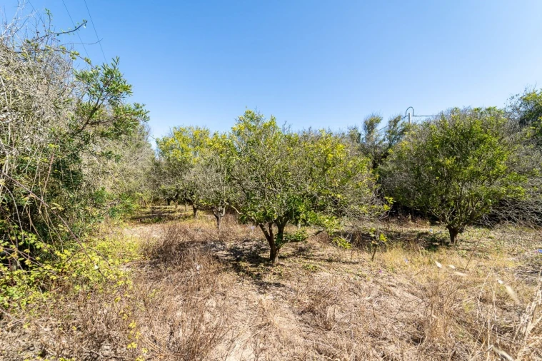Quinta T2 para Venda em Aljezur Foto 10