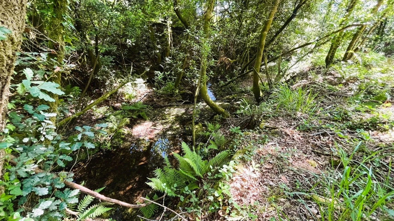 Moradia T2 para Venda em Candemil e Gondar Foto 12