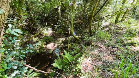 Moradia T2 para Venda em Candemil e Gondar