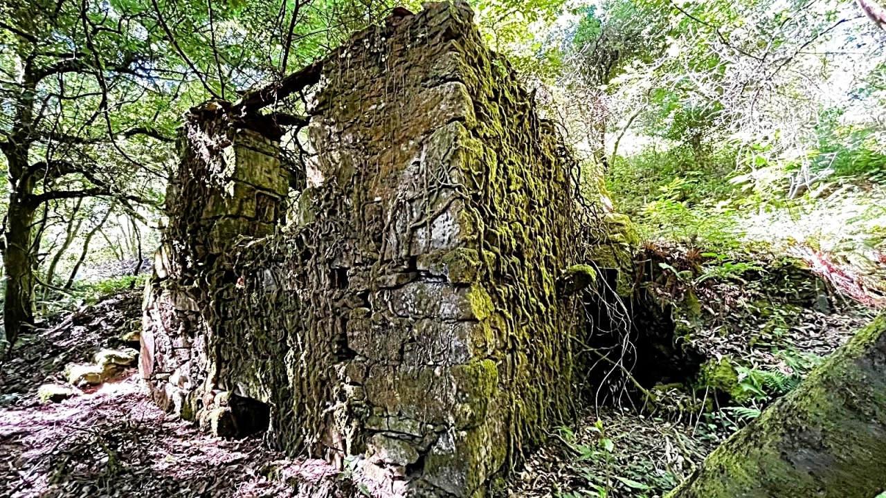 Moradia T2 para Venda em Candemil e Gondar Foto 4