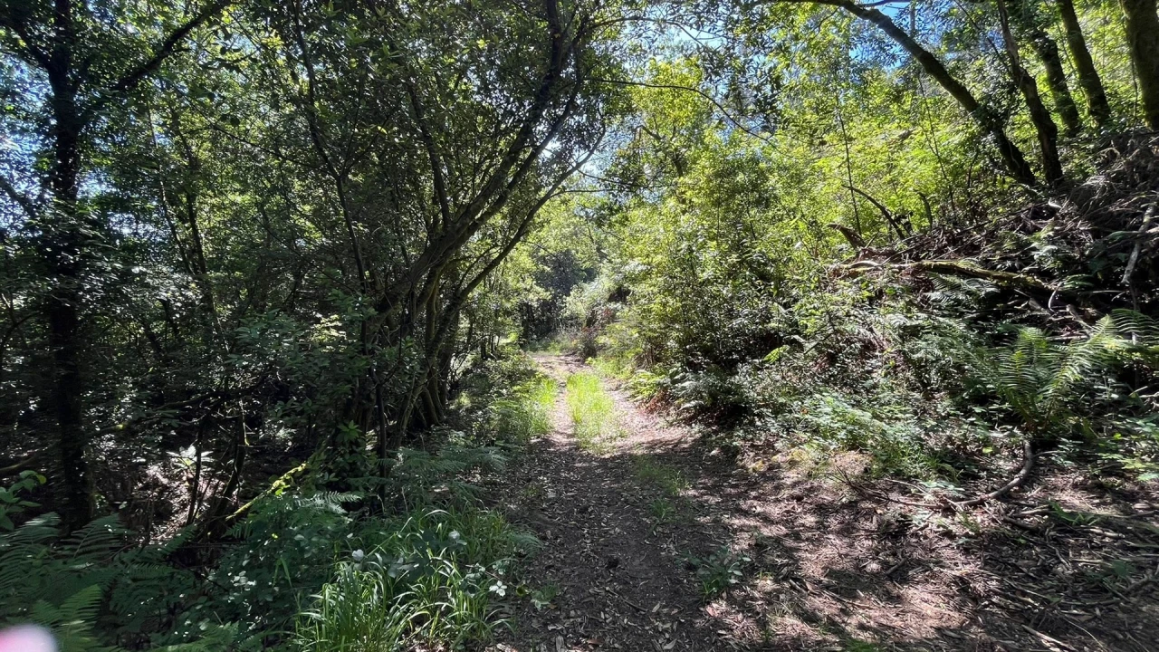 Moradia T2 para Venda em Candemil e Gondar Foto 13