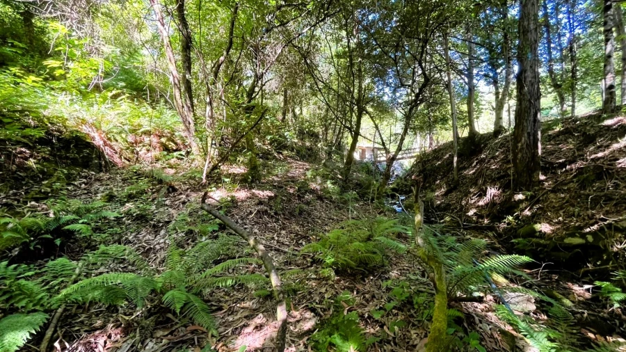 Moradia T2 para Venda em Candemil e Gondar Foto 17