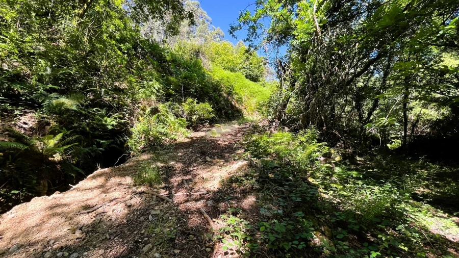 Moradia T2 para Venda em Candemil e Gondar Foto 7