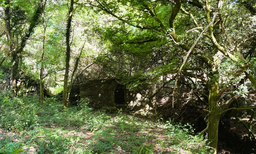 Moradia T2 para Venda em Candemil e Gondar Foto 10