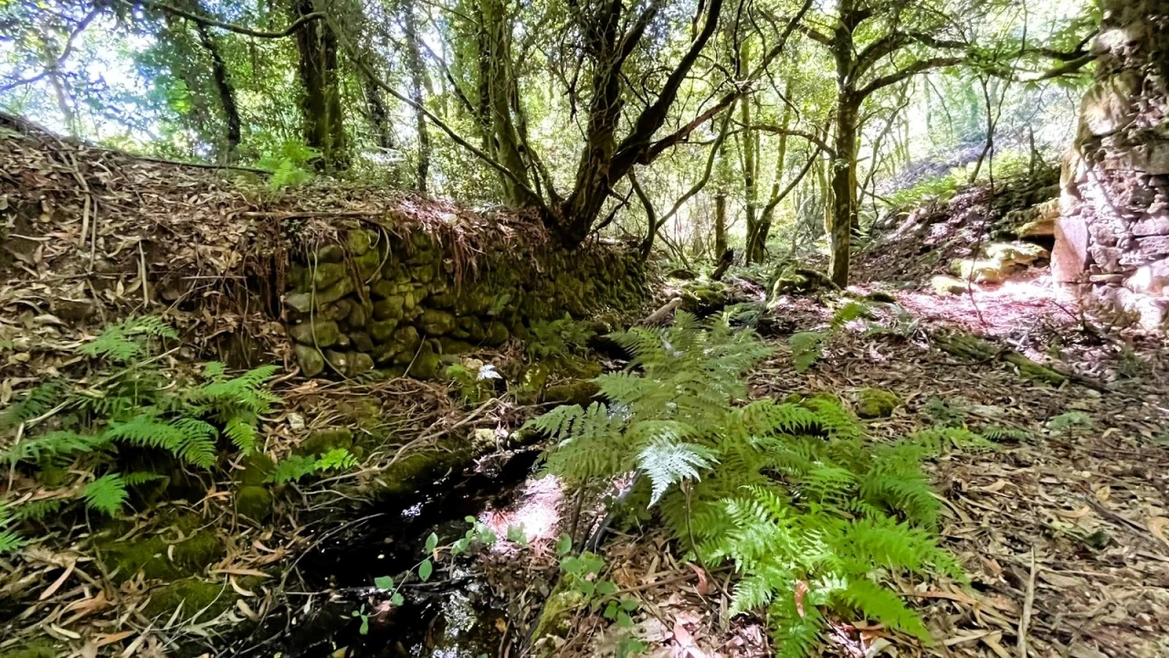 Moradia T2 para Venda em Candemil e Gondar Foto 3
