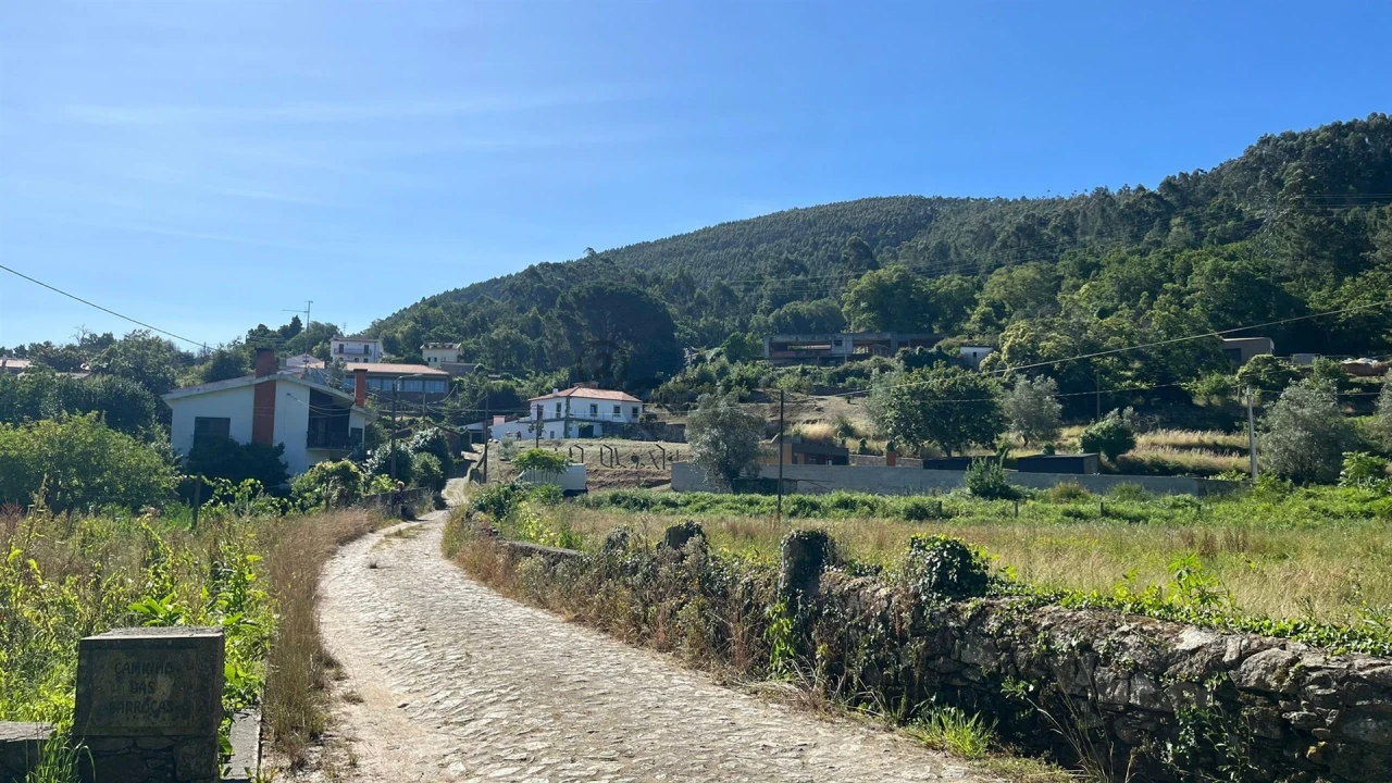 Terreno para Venda em Vilar de Mouros Foto 13