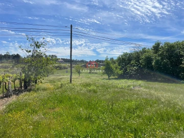 Moradia T3 para Venda em Tavares (Chãs, Várzea e Travanca)