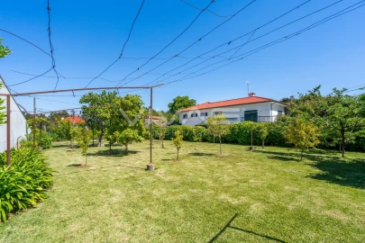Moradia T3 para Venda em Ardegão, Freixo e Mato